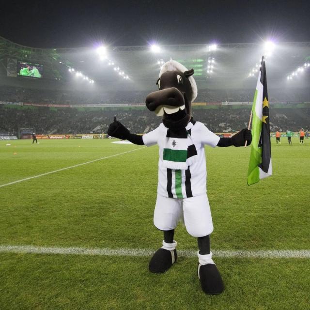 1728846302591065630.jpg 1728845576313.jpg